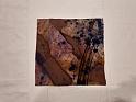 batik bau (90)